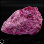 natuurlijke ruwe robijn – een groot, zeldzaam verzamelstuk, Verzamelen, Mineralen en Fossielen