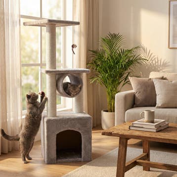 Katten krabpaal | Multifunctioneel | Premium | OP=OP, Dieren en Toebehoren, Ophalen of Verzenden, Nieuw, Krabpaal
