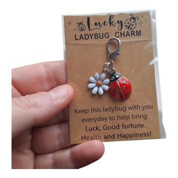 Gelukshanger ladybug - lieveheersbeestje - lucky charm -..., Ophalen of Verzenden, Nieuw