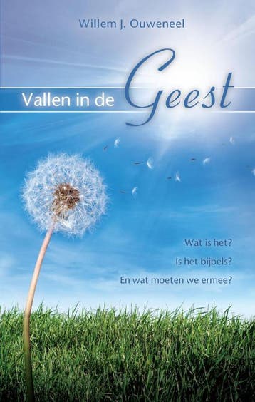 Vallen in de Geest - Willem J. Ouweneel 9789075226898, Verzenden, Zo goed als nieuw, Willem J. Ouweneel