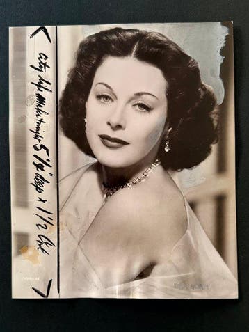 Victor Milner - Hedy Lamarr - ritratto pubblicitario