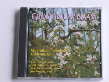 Rehoboth - Groot is Uw Naam / John Propitius, Ophalen of Verzenden, Zo goed als nieuw