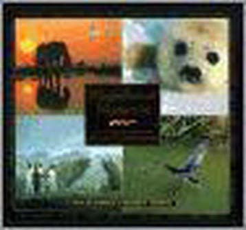 Magnificent Moments - George H. Harrison 9781572230231, Verzenden, Gelezen, George H. Harrison