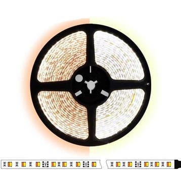 5 meter CCT  led strip DUAL LED - 120Leds/m - 12V, Auto-onderdelen, Ophalen of Verzenden, Nieuw