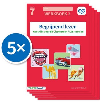 Begrijpend lezen werkboek 2 (Set van 5) / Toetsbaas, Verzenden, Zo goed als nieuw