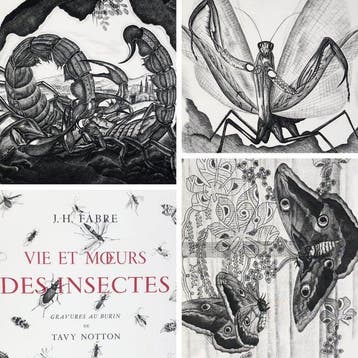 Jean-Henri Fabre / Tavy Notton [illustrateur] - Vie et, Antiek en Kunst