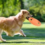 Honden Vliegende Schotel – Interactief Schuim Speelgoed, Verzenden, Nieuw