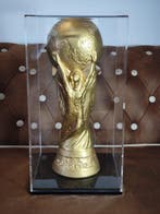 Real Madrid - Wereldkampioenschap Voetbal - Zinedine Zidane, Nieuw