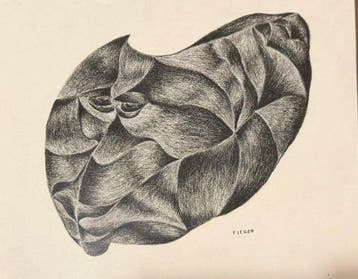 Georges Bauquier (1910-1997) - Composition