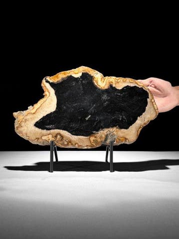 Prachtige plak versteend hout op een op maat gemaakte
