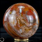 Natuurlijke sfeer of versteend hout- 1351.42 g