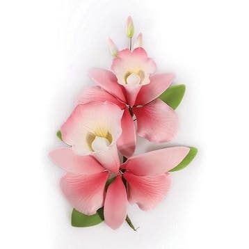Suikerbloem Orchidee Roze 15cm, Verzenden, Nieuw