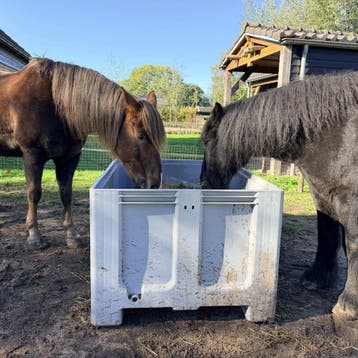 Slowfeeder XXL grijs (1 kuub) voor paarden - 50 mm / geen, Ophalen of Verzenden, Nieuw