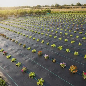 Onkruiddoek Zwart 2x50m PP - UV & Waterbestendig Bodembedekk, Verzenden