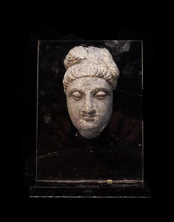Gandhara - Buddha-hoofd in schist - 2e/3e eeuw na Chr.