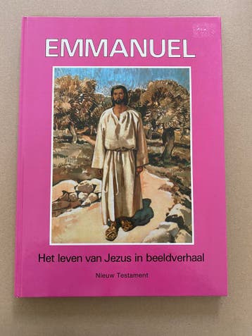 Het leven van Jezus in Beeldverhaal (Stripverhaal) - 180 blz, Verzamelen, Religie, Verzenden, Zo goed als nieuw, Boek, Christendom | Katholiek