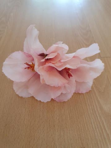 Pink Pinup Hair Hibiscus., Verzenden, Nieuw