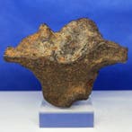 IJZERE METEORIET GEBEL KAMIL (Egypte, 2009). ATAXITE,