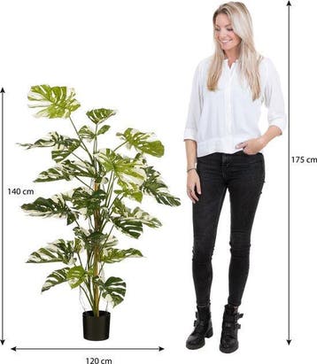 2dekans | Mica Decorations Monsteraboom Kunstplant - H140 x, Ophalen of Verzenden, Zo goed als nieuw