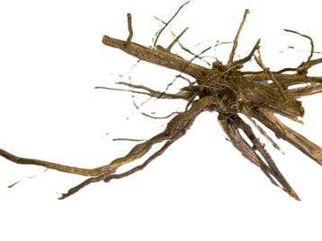 Driftwood Selected  DW52- 45x30x22cm (Small drift wood), Ophalen of Verzenden, Nieuw, Plant(en), Steen of Hout