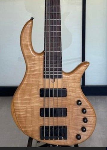Cort - - Elektrische basgitaar - Zuid-Korea - 2003, Nieuw