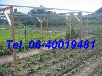 Vogelnet, zware kwaliteit vogelnetten, Dieren en Toebehoren, Ophalen of Verzenden, Nieuw, Kippenhok of Kippenren