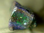 26,3 ct - Topkleuren - Honduras Zwarte Opaal Ruw- 5.26 g