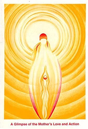 A Glimpse of the Mother's Love and Action - Vijay - 81706011, Boeken, Esoterie en Spiritualiteit, Verzenden