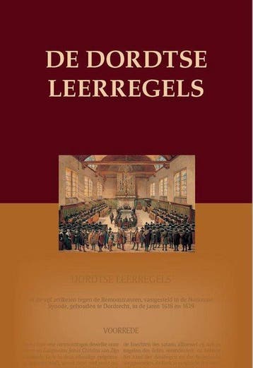 Dordtse Leerregels - Johannes Bogerman 9789492987136, Verzenden, Zo goed als nieuw, Johannes Bogerman