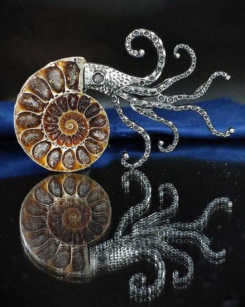 Geen reserveprijs Prachtige ammoniet hanger/broche