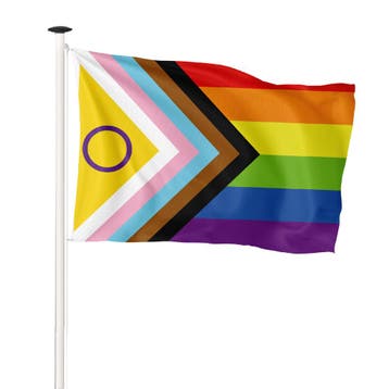 NR 561: Intersekse Progress Pride Vlag 150x225cm (voor, Diversen, Vlaggen en Wimpels, Nieuw
