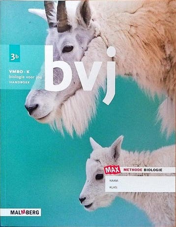BVJ - Malmberg 9789402057744, Boeken, Verzenden, Gelezen, Malmberg