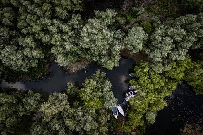 Alessandro Gandolfi - Danube Delta #1, Antiek en Kunst, Kunst | Designobjecten