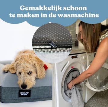 Buddy Beds Hondenmand - Orthopedisch Hondenkussen voor, Ophalen of Verzenden, Zo goed als nieuw
