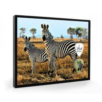 Zebras plectrumdisplay, Verzamelen, Ophalen of Verzenden, Nieuw, Wild dier, Overige typen