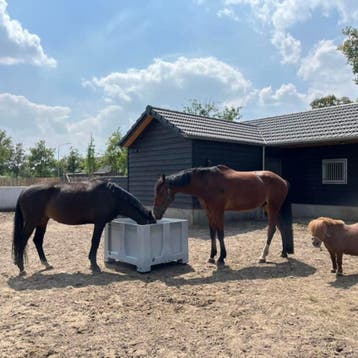 Slowfeeder XXL grijs (1 kuub) voor paarden - 10 cm / geen, Ophalen of Verzenden, Nieuw