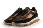 Floris van Bommel Sneakers in maat 39 Bruin, Bruin, Verzenden, Floris van Bommel, Sneakers of Gympen