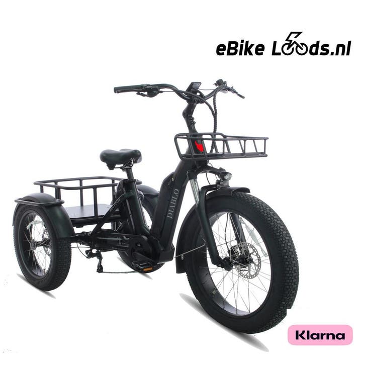 Vogue Big Foot MX 5, dubbel accu, driewieler, gratis thui..., Fietsen en Brommers, Fietsen | Bakfietsen, Nieuw, Overige merken