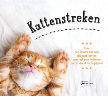 Kattenstreken 9789022335529, Verzenden, Gelezen