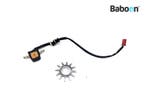 Pickup Honda CBR 900 RR Fireblade 2000-2001 (CBR900RR SC44), Motoren, Verzenden, Gebruikt