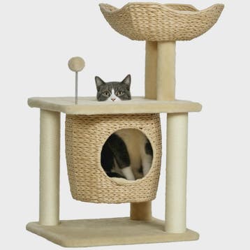 PawHut Kattenkrabpaal met Niche, Mand, Pompon en Sisal - Bei, Verzenden, Nieuw