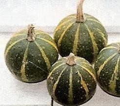 Ball Bicolor kalebas 50 zaden, Hobby en Vrije tijd, Knutselen, Nieuw, Ophalen of Verzenden