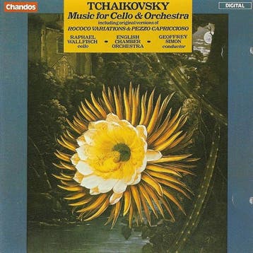 cd - Pyotr Ilyich Tchaikovsky - Tchaikovsky - Music For C..., Verzenden, Zo goed als nieuw