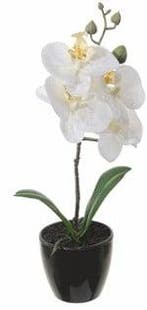 Witte Orchidee in pot Zijdenbloem 34 cm per stuk, Ophalen of Verzenden, Nieuw