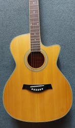 Richwood Artist Series - RG16CE GA gloednieuwe Auditorium, Muziek en Instrumenten, Nieuw