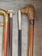 Wandelstok (5) - Hout, Koper, Hars, nikkel - Een collectie, Antiek en Kunst