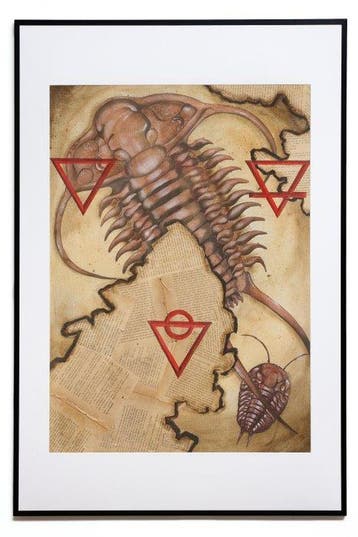 Hanna Werkowicz - Trilobitae alchemici / Trylobity