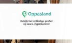 Tamieka zoekt een oppas in Rotterdam voor 1 kind op woens..., Vacatures, Vacatures | Klantenservice en Callcenter