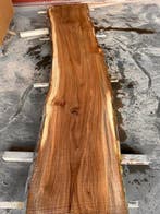 5X Boomstambladen, Iep, complete partij 210,- REF 794, 25 tot 50 mm, Nieuw, Ophalen of Verzenden, 200 tot 250 cm