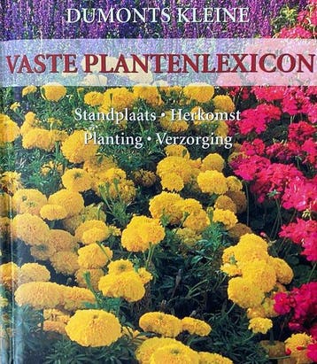 Dumonts kleine Vaste plantenlexicon 9789039618035 A. Rausch, Verzenden, Gelezen, A. Rausch